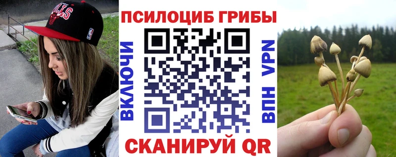 Псилоцибиновые грибы ЛСД  omg маркетплейс  Бирск 